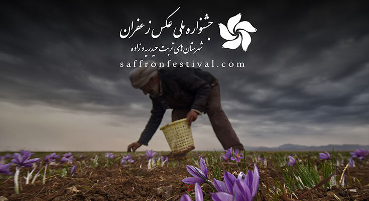 هفتمین جشنواره ملی عکس زعفران تربت حیدریه و زاوه